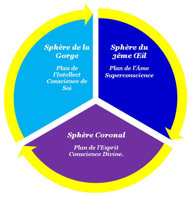 3plans
