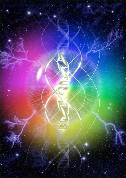 Adn