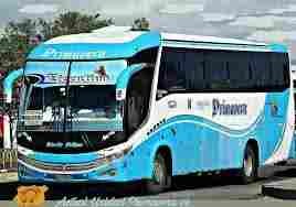 Bus salcedo