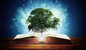 Acquerir une sagesse