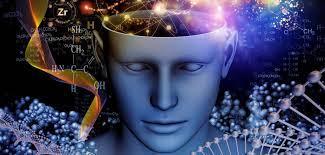 La conscience est la structure informationnelle qui permet à l’âme d’interagir avec le corps physique.